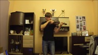Martin Garrix - Animals Violin