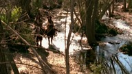 Dr Quinn s06e20 Lektor PL