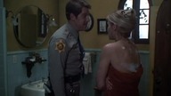 Motel. Hell. 1980.pl. DVDRip. XviD-LMR
