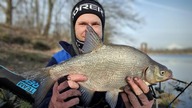 384 LESZCZE NA MROŻONKĘ! ŁOPATY NA BARKACH NR 2 - WROCŁAW