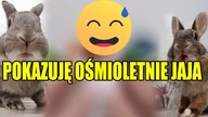 Vlog:Pokazuję ręcznie robione pisanki sprzed 8 lat!