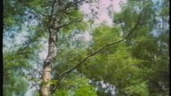 Znak, film-horror ekologiczny 1990