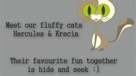 Crazy CATS In Action vol.  1 