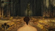 Morgott, the Omen King - (rl1/no hit/talismans/skills/meta/affinities/buffs)
