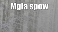 Mgła spowije część województwa