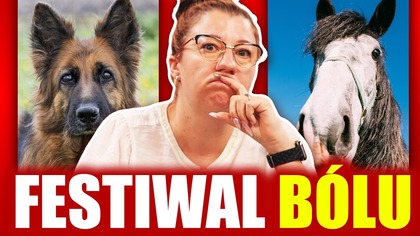 WILCZUR, KOŃ, DRZWI - PAZNOKCIOWY FESTIWAL BÓLU | KU PRZESTRODZE