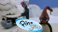 Pingu - Dlaczego ta bajka jest nienormalna 7