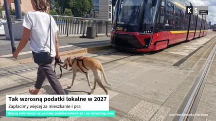 Tak wzrosną podatki lokalne w 2027.  Zapłacimy więcej za mieszkanie i psa [KS Meteo & Business]
