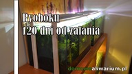 Ryoboku 120 dni od zalania