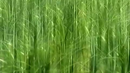 TV4 - Reklamy i zapowiedzi (6. 08. 2002, Hi-FI)
