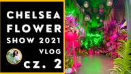 Rośliny Domowe na Chelsea Flower Show