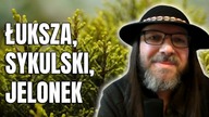 Pitoń  Skąd te przemiany