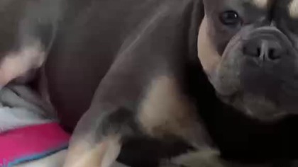 Zmęczony ale to jeszcze za mało :