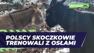 Polscy skoczkowie trenowali z osłami