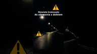 Niewiele brakowało do zderzenia z dzikiem #shorts #rikordwidjo