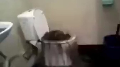 #discordmeme #bendyandtheinkmachine #funny #toilet #shorts