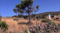 Baelo Claudia - Archeotrip