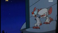 Pinky i Mózg S01E09 - Futrzak (LEKTOR)