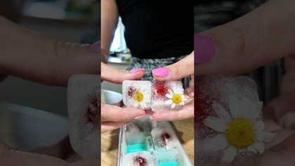 LEMONIADA Z KWIATÓW DLA DZIECI I DOROSŁYCH