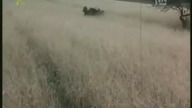 Film Polski.  - Czerwone i białe.
