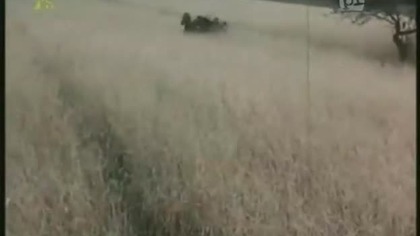 Film Polski.  - Czerwone i białe.