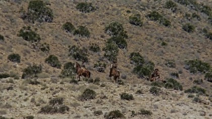 Johnny Yuma 1966 lektor pl 1080p western