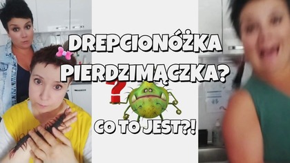 ZNAM się... na zwierzętach...  wiem, CO TO...  Drepcionóżka...  HA! 