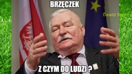 MEMY po meczu SŁOWENIA - POLSKA