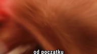 THE BOYS - od początku miało być 5 sezonów? #theboys #superhero #ciekawostki