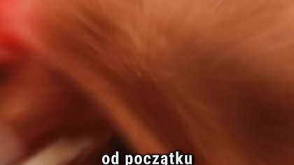 THE BOYS - od początku miało być 5 sezonów? #theboys #superhero #ciekawostki