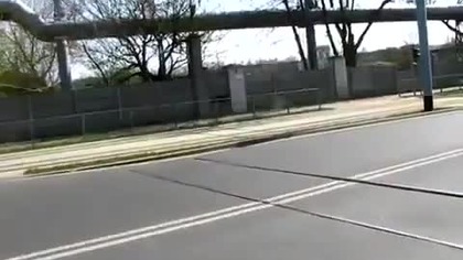 Polska kraj absurd&oacute;w