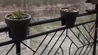 Wiosna No