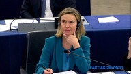 Kilka słów prawdy do pani Mogherini - Janusz Korwin-Mikke na debacie o sytuacji w Syrii