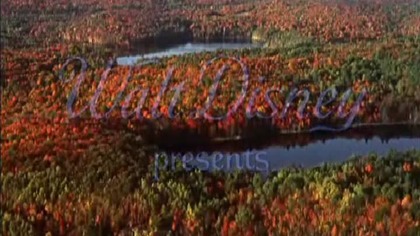 200 mil do domu 1963 lektor pl