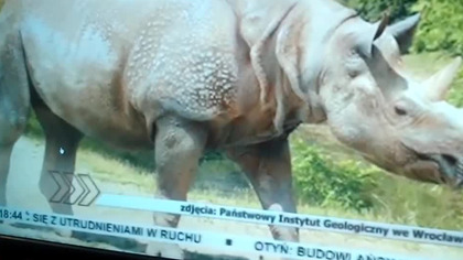 Pan operator koparki zadaje najważniejsze pytania