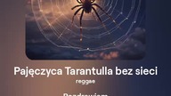 2024.07.05 - 7d - Pajęczyca Tarantulla bez sieci - reggae - tekst Ewa Lipka, śpiew i muzyka SI/AL