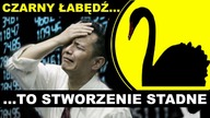 Czarny łabędź to stworzenie stadne | K. L.  Łuksza, M.  Masny