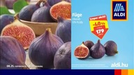 TLC Hungary [24.08.2022] - Continuity 