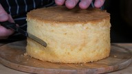 Biszkopt ? Ciekawe kto tak potrafi jak Ja ! / Oddaszfartucha
