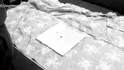 Full Match: Heoric Death match Wrestling Match Highlights EWG.