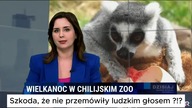Prawdziwe polskie wydarzenia ...