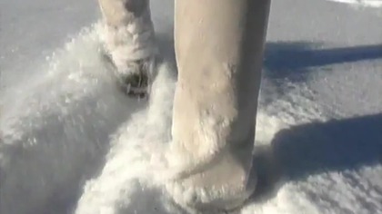 Roan - Ten zimowy czas