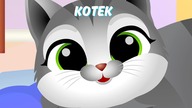 Piosenka o Kotkach | Miau Miau | Dziecko TV