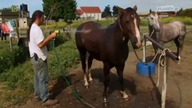 Żyć Na Swoich Warunkach.  Dokument 2009