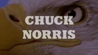 Człowiek Prezydenta - lektor pl (Chuck Noris)