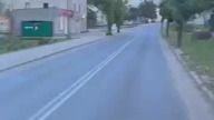 Secik podróżnik.