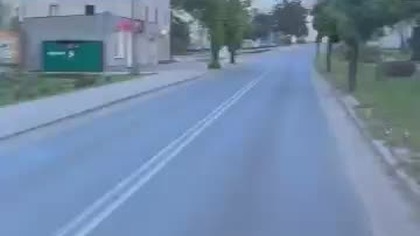 Secik podróżnik.