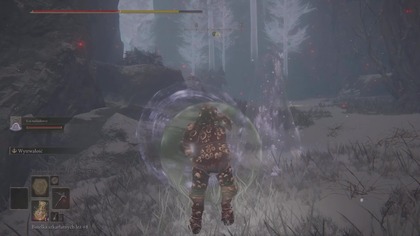 ELDEN RING - Boss : Gnijący Avatar