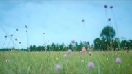1 K. ARA.  8