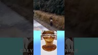 W SZCZERYM POLU ZOBACZYLI KOBIETE ROBIĄCĄ TO